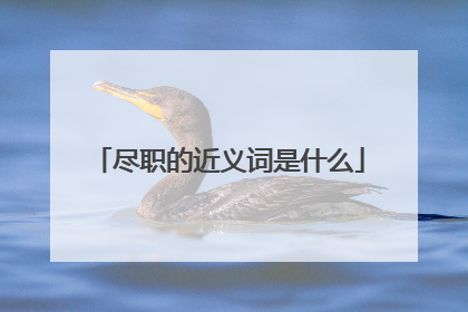 尽职的近义词是什么