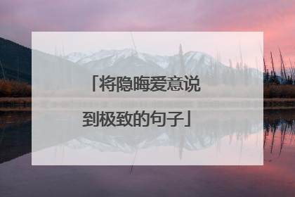 将隐晦爱意说到极致的句子