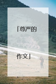 尊严的作文
