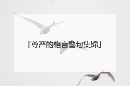 尊严的格言警句集锦