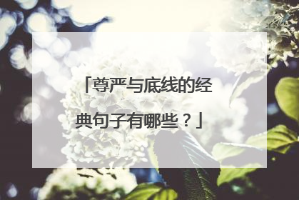 尊严与底线的经典句子有哪些？