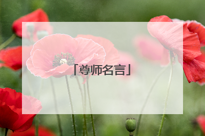 尊师名言