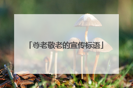 尊老敬老的宣传标语