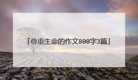 尊重生命的作文800字3篇