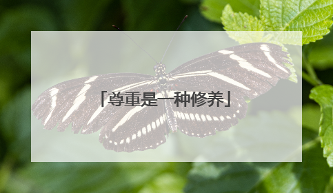尊重是一种修养
