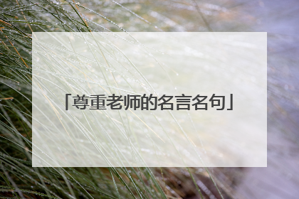 尊重老师的名言名句