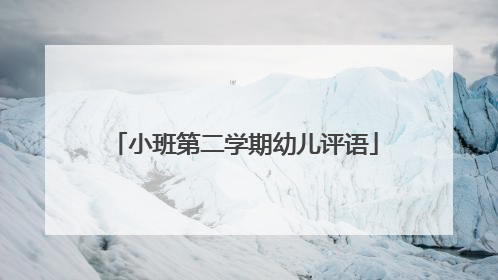 小班第二学期幼儿评语
