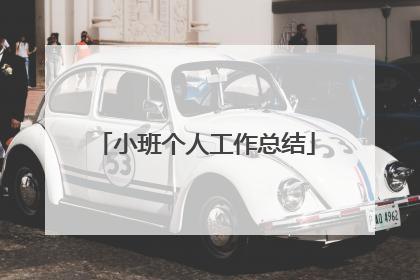 小班个人工作总结