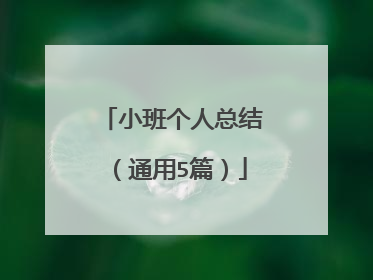 小班个人总结(通用5篇)