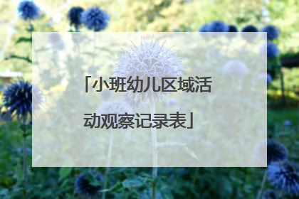 小班幼儿区域活动观察记录表