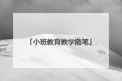 小班教育教学随笔