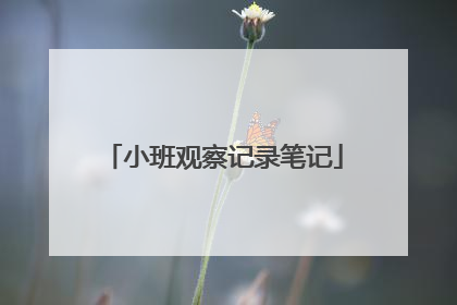 小班观察记录笔记