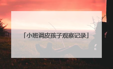 小班调皮孩子观察记录