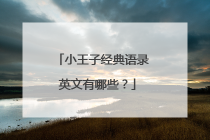 小王子经典语录英文有哪些？
