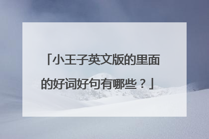 小王子英文版的里面的好词好句有哪些？