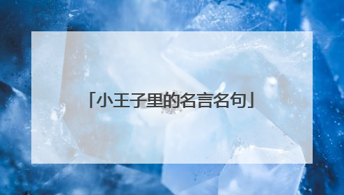 小王子里的名言名句