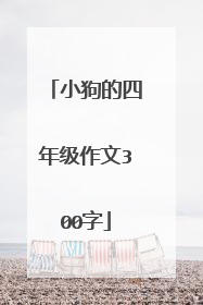 小狗的四年级作文300字