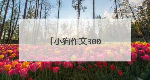 小狗作文300字优秀范文5篇