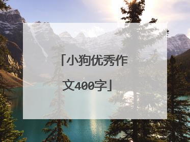 小狗优秀作文400字