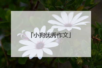 小狗优秀作文