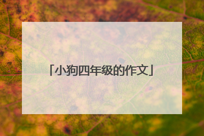 小狗四年级的作文
