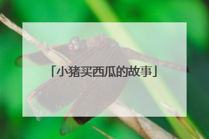 小猪买西瓜的故事