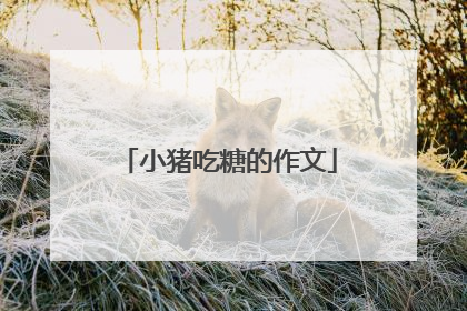 小猪吃糖的作文