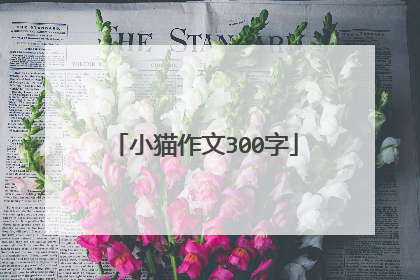 小猫作文300字
