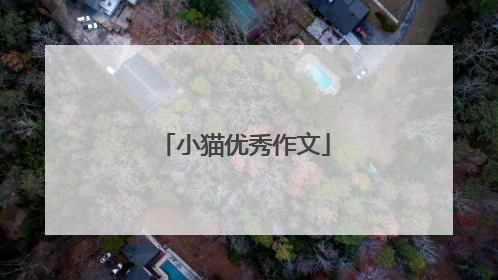 小猫优秀作文