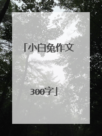 小白兔作文300字