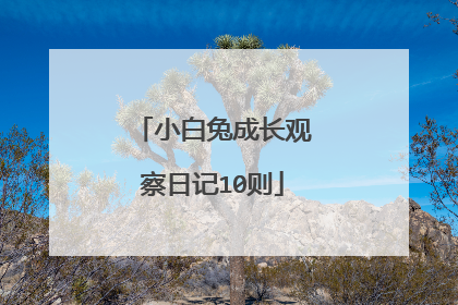 小白兔成长观察日记10则