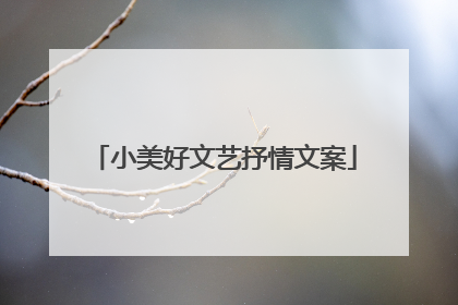 小美好文艺抒情文案