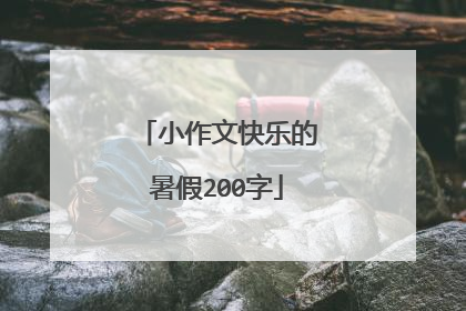 小作文快乐的暑假200字
