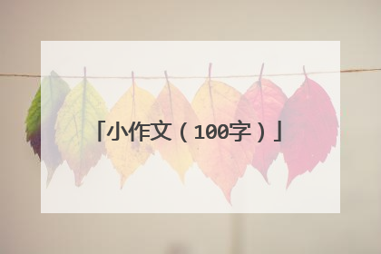 小作文(100字)