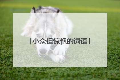 小众但惊艳的词语