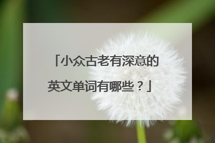 小众古老有深意的英文单词有哪些？