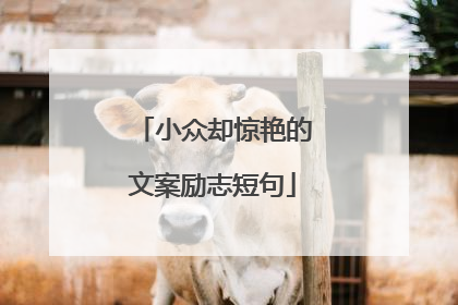 小众却惊艳的文案励志短句