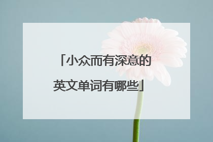 小众而有深意的英文单词有哪些