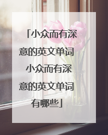 小众而有深意的英文单词 小众而有深意的英文单词有哪些