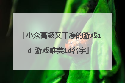 小众高级又干净的游戏id 游戏唯美id名字