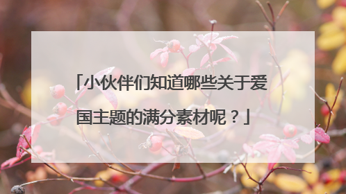 小伙伴们知道哪些关于爱国主题的满分素材呢?