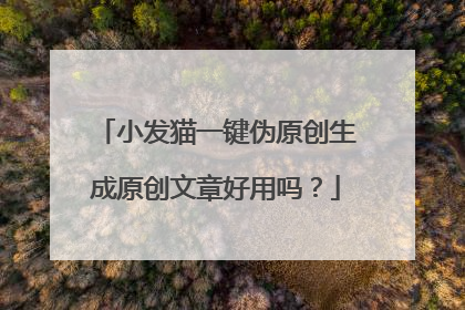 小发猫一键伪原创生成原创文章好用吗？