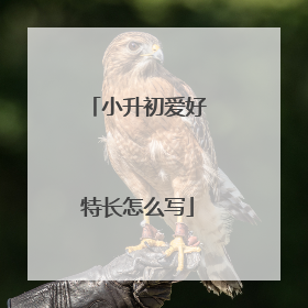 小升初爱好特长怎么写