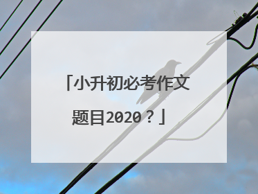 小升初必考作文题目2020?