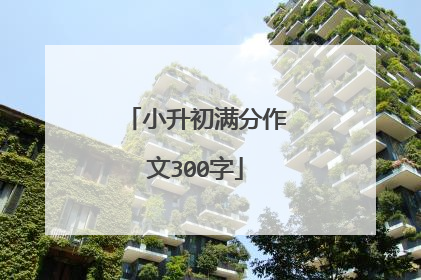 小升初满分作文300字