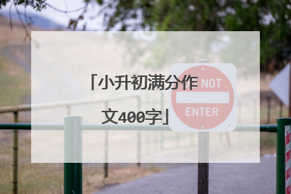 小升初满分作文400字