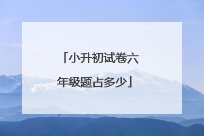 小升初试卷六年级题占多少