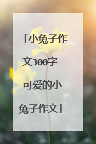 小兔子作文300字 可爱的小兔子作文
