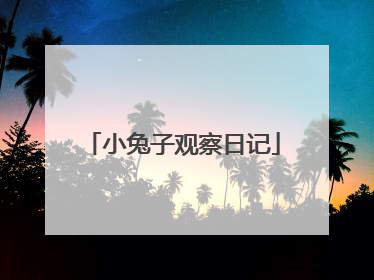 小兔子观察日记