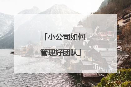 小公司如何管理好团队